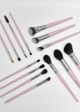 Set de 14 Pinceaux